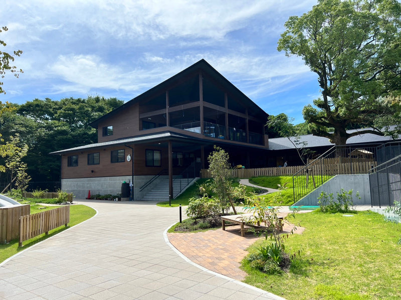 【1クラス一式】ポッポ保育園様：新築木造園舎の0歳児室に、空間に調和する木製仕切り家具や変化いすを導入し、コーナー保育を実現した事例