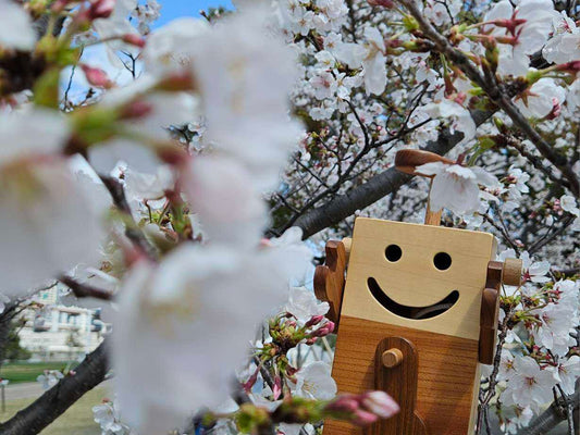 神戸店ブログ❁～入学おめでとう🌸～